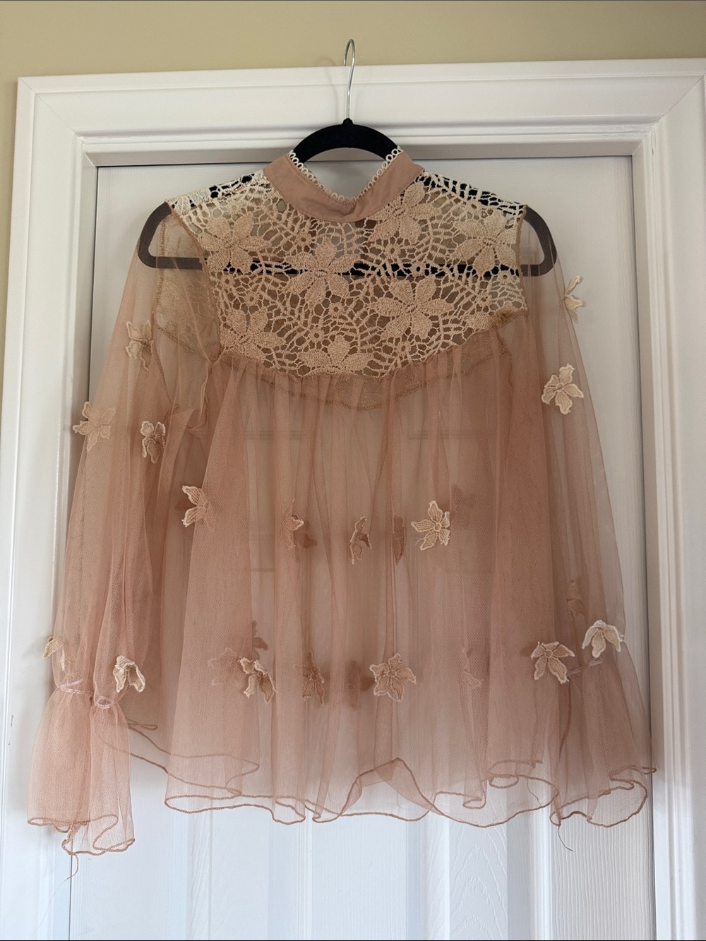 Blush Sheer Long Sleeve Blouse
